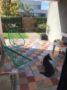Alquiler Anual de Casa en Casas de Santa Maria en Casas de Santa Maria, Tigre — Foto 2