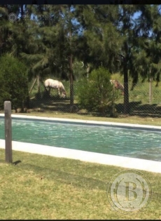 alquiler-dic-febrero-casa-san-marco-villanueva-tigre-174142