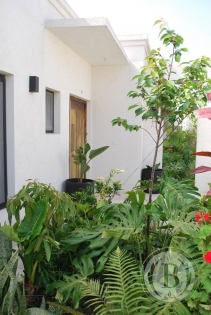 alquiler-enero-casa-san-rafael-villanueva-tigre-159858