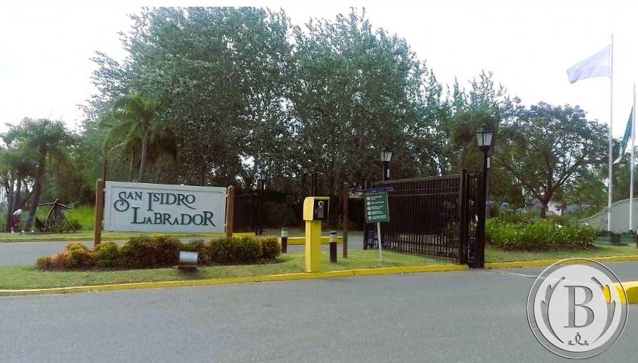 san-isidro-labrador-villanueva-tigre-209122