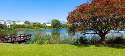 Foto de Santa Catalina - Tigre
