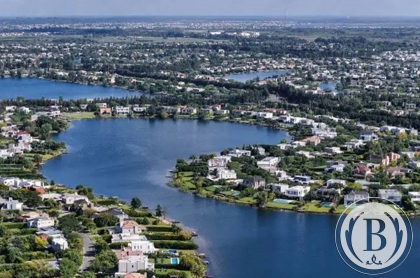 santa-teresa-villanueva-tigre-209084