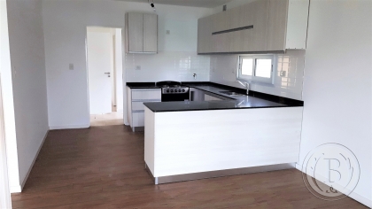 venta-casa-san-gabriel-villanueva-tigre-145067