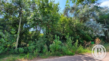 venta-lote-benavidez-abierto-tigre-tigre-203808
