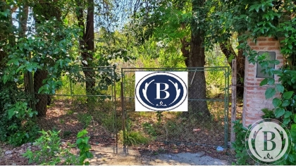 venta-lote-benavidez-abierto-tigre-tigre-203810