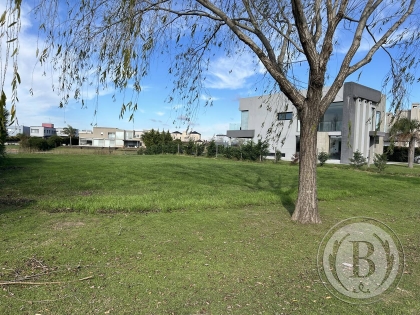 venta-lote-san-benito-villanueva-tigre-184885