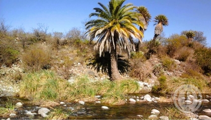 venta-lote-san-francisco-del-monte-de-oro-san-luis-san-luis-187241