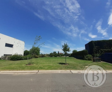 venta-lote-san-francisco-villanueva-tigre-183109