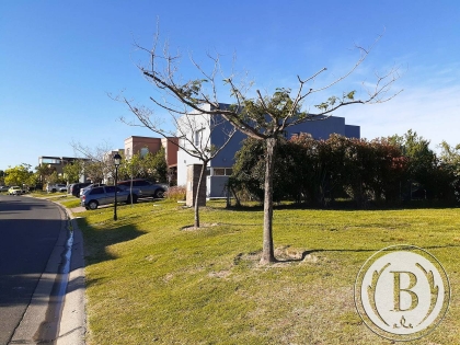 venta-lote-san-francisco-villanueva-tigre-197432