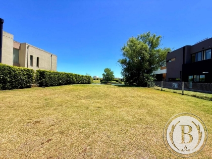 venta-lote-san-rafael-villanueva-tigre-208977